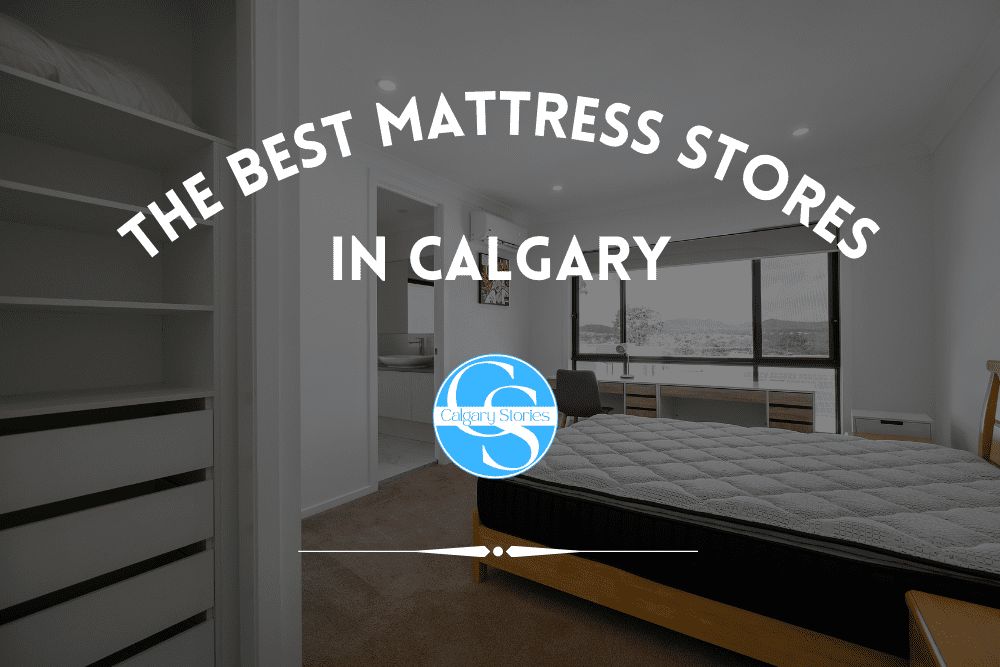 The 6 Best Mattress Stores In Calgary [2023]